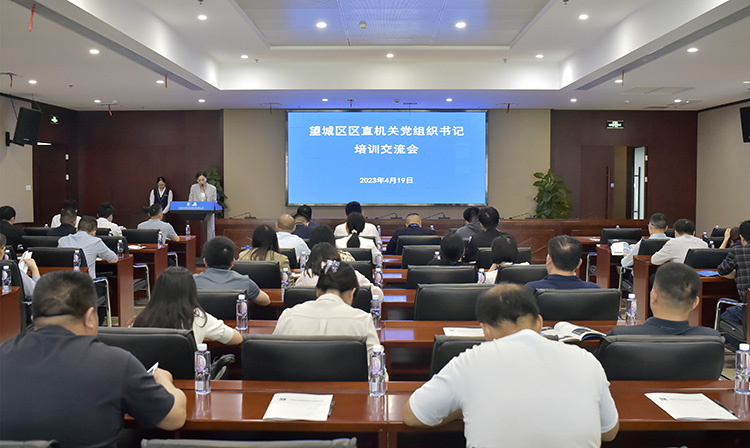 公司職能黨支部書(shū)記、黨群綜合部副部長(zhǎng)（主持黨建工作）周葵主持會(huì)議.jpg